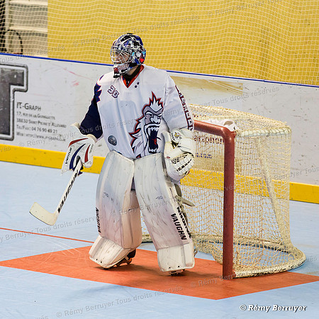 Roller Hockey Championnat Elite Grenoble vs Paris 17/10/2015