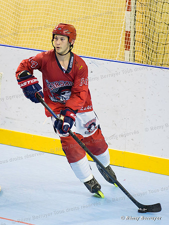 Roller Hockey Championnat Elite Grenoble vs Paris 17/10/2015