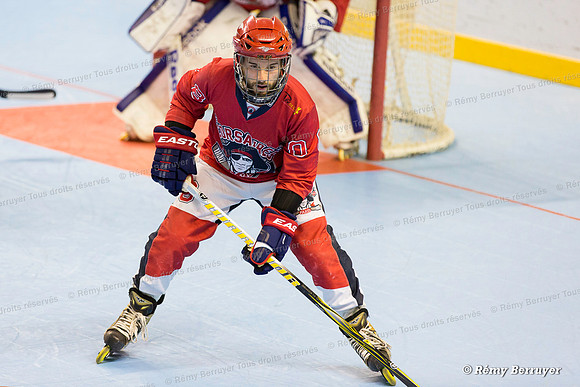 Roller Hockey Championnat Elite Grenoble vs Paris 17/10/2015