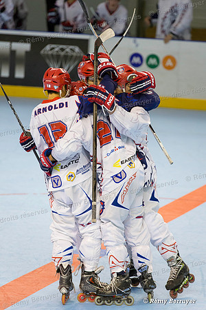 Roller Hockey Championnat Elite Grenoble vs Paris 17/10/2015