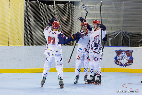 Roller Hockey Elite Grenoble vs Aubagne 09/11/2013