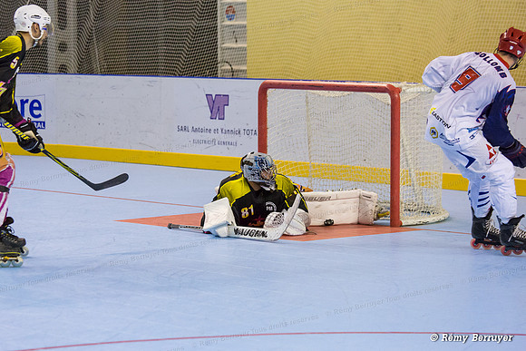 Roller Hockey Elite Grenoble vs Aubagne 09/11/2013
