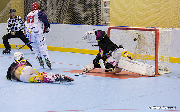 Roller Hockey Elite Grenoble vs Aubagne 09/11/2013