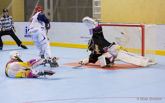 Roller Hockey Elite Grenoble vs Aubagne 09/11/2013