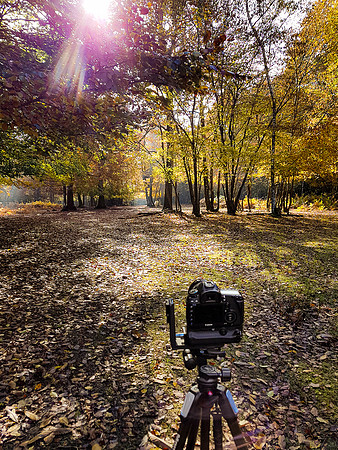 Parc naturel de Chambaran