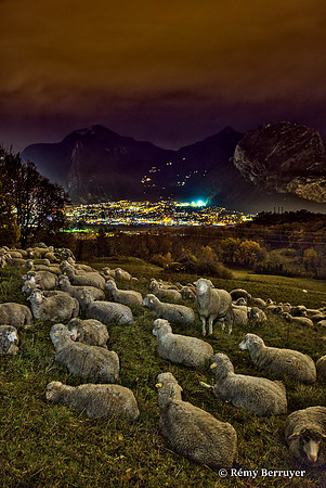 Mouton