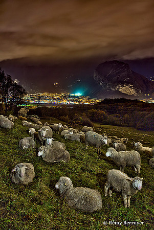 Mouton