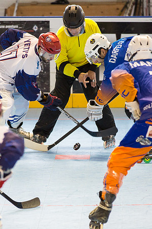 Roller hockey, Nationale 2, Championnat de France, Grenoble vs Montpellier 08/10/2016