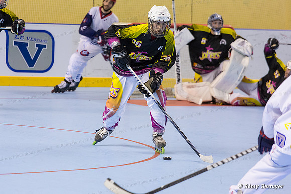 Roller Hockey Elite Grenoble vs Aubagne 09/11/2013
